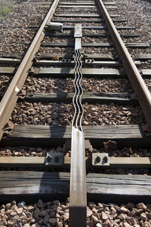 Crocodile Symétrique